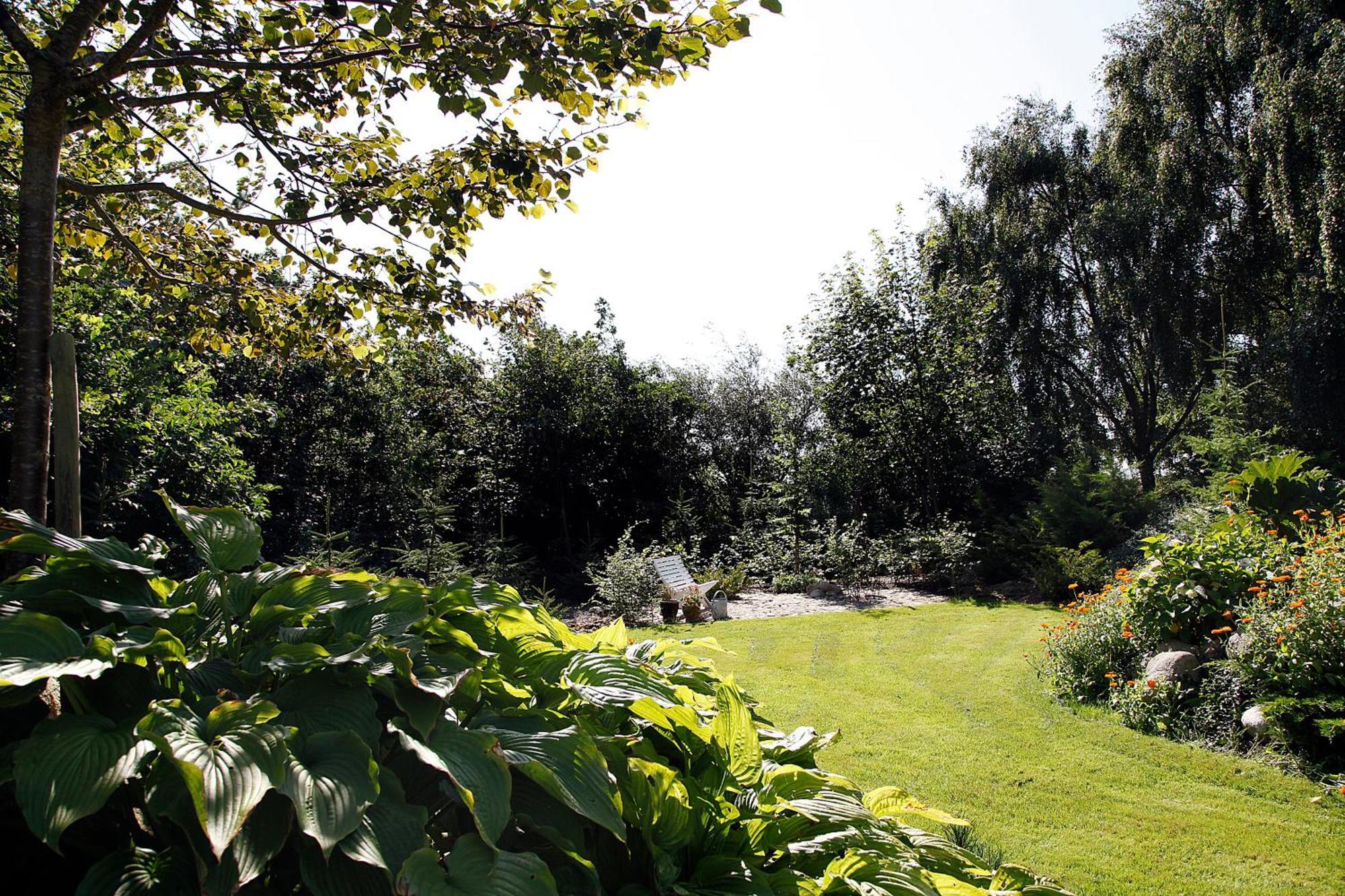 Cafehaven Bed & Breakfast Borglum Room photo